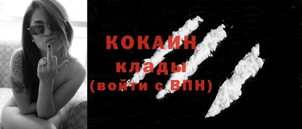 мдпв Верхний Тагил