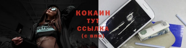 мдпв Верхний Тагил