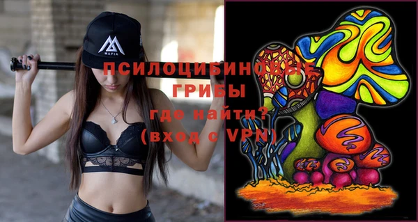 мдпв Верхний Тагил