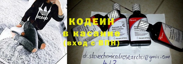 мдпв Верхний Тагил