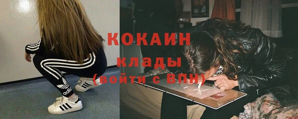 мдпв Верхний Тагил