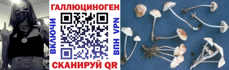 Галлюциногенные грибы Cubensis  купить  цена  darknet телеграм  Яровое 