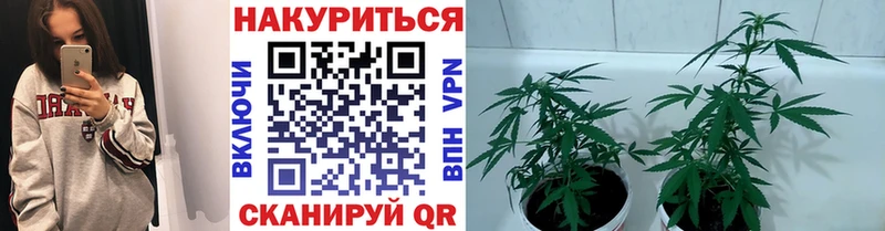 цена наркотик  Яровое  Марихуана THC 21% 